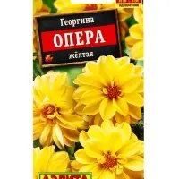 Семена цветов Георгина Опера желтая , Ц/П,7 шт. Семена цветов Георгина Опера желтая , Ц/П,7 шт.