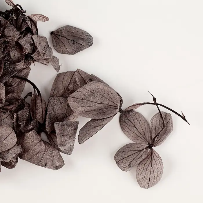 Свеча своими руками. Создание свечи &laquo;Черная гортензия&raquo;, набор для творчества