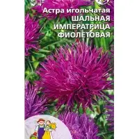 Семена Цветы Астра игольчатая &laquo;Шальная Императрица&raquo; фиолетовая, 0.2 г