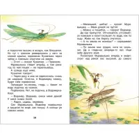 Книга детская &laquo;Рассказы и сказки о животных&raquo;, 96 стр., Бианки В.В.