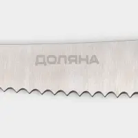 Набор ножей кухонных на подставке Доляна Ardone, 7 предметов: 5 ножей, мусат и ножницы, хромированный