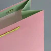 Пакет подарочный "Нежный комплимент" ламинированный 26 х 12 х 32 см