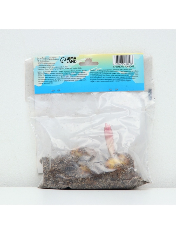 Лилия гибридная «Конка Дор», луковица в пакете с перфорацией, р-р 14/16, 2 шт.