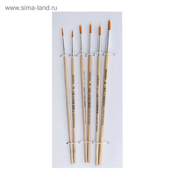 Набор кистей для рисования, нейлон, 6 штук: №1, 2, 3, 4, 5, 6, круглые, деревянная ручка, международный размер