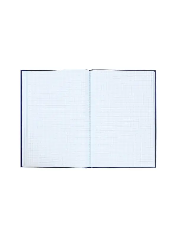 Книга учета, 96 листов, обложка картон 7БЦ, блок газетный, клетка, РФ, сине-красный