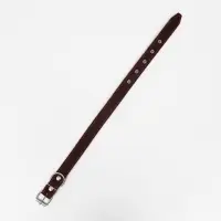 Ошейник кожаный на синтепоне, 65&times;3 см, ОШ 40-55 см, коричневый