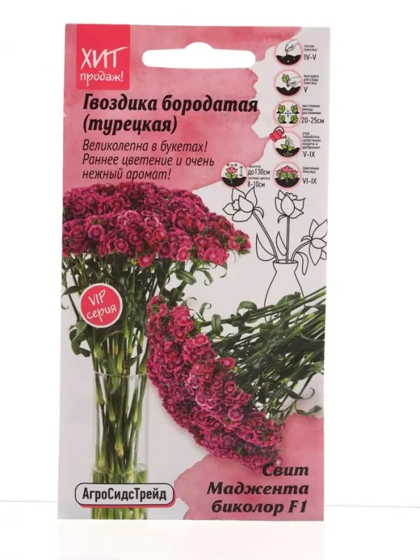 Семена цветов Гвоздика бородатая Свит Маджента биколор 6 шт