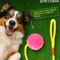 Игрушка для собак, мяч на веревке, 6 см, розовая, жёлтая