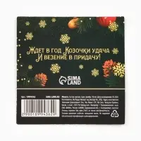 Монета сувенирная, латунь &laquo;Денежный&raquo; d=2.5 см