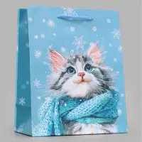Пакет подарочный &laquo;Котик и снежинки&raquo;, 18&times;10&times;22.3 см
