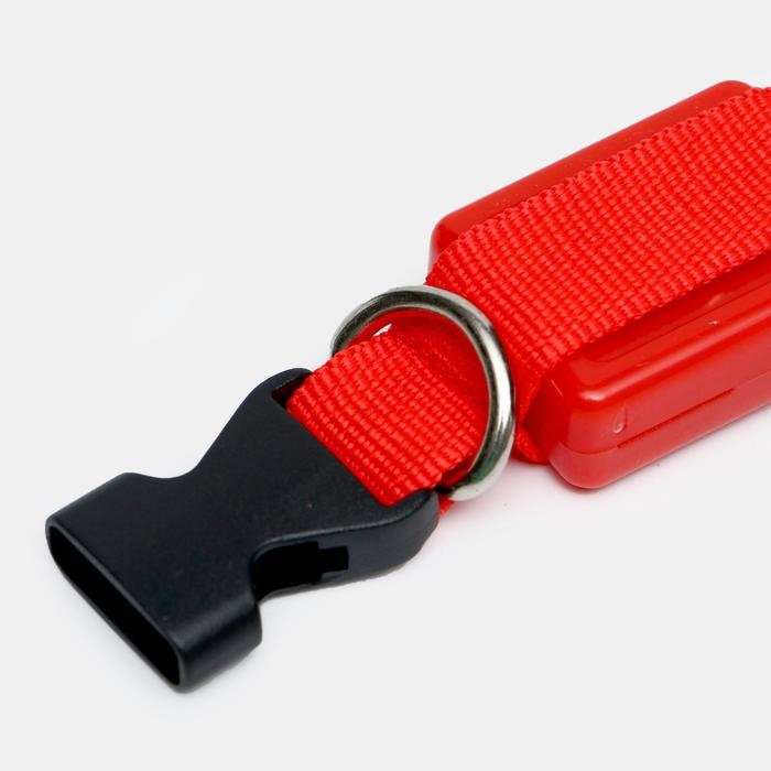 Ошейник светящийся узкий для небольших собак, 26 х 1,5 см, красный Ошейник светящийся узкий для небольших собак, 26 х 1,5 см, красный