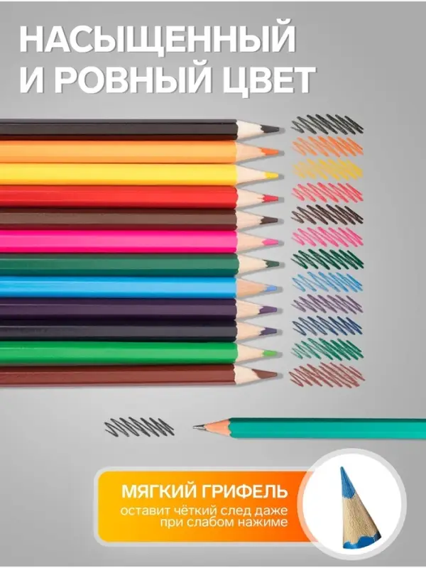 Карандаши Calligrata, цветные, 12 цветов, ЭКОНОМ, шестигранные, пластиковые, пенал-тубус и 3 чернографитных карандаша с ластиком в ПОДАРОК