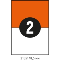 Этикетки самоклеящиеся 210х148,5мм, 2шт на лист А4, 100л/уп