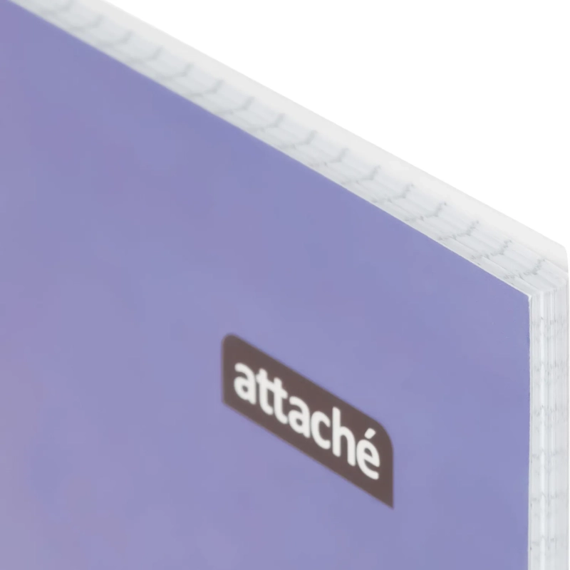 Бизнес-тетрадь А4 60л Attache Греция Голубой/Фиолет клет, 65г, греб, ВД-лак