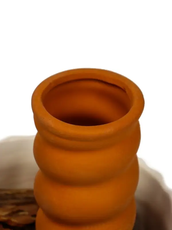 Автополив для комнатных растений &laquo;Спираль&raquo;, 16.2&times;5 см, керамика, набор 4 шт.