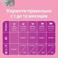 Влажный корм Whiskas для котят, рагу ягненок, 75 г