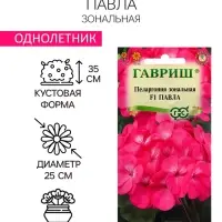 Семена Пеларгония "Павла", ц/п,  F1, 4 шт.