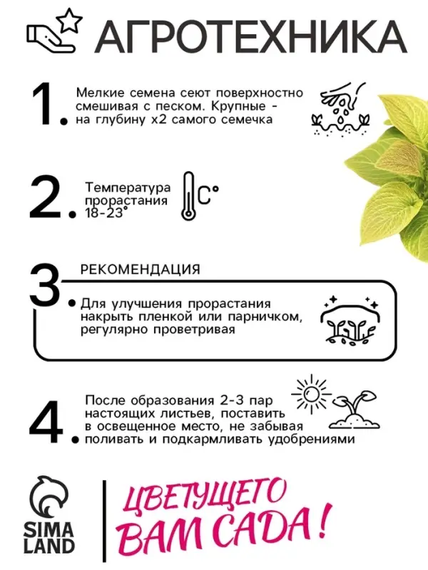 Семена цветов Колеус Визард Голден, 10шт Семена цветов Колеус Визард Голден, 10шт