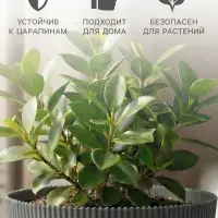 Горшок для цветов с поддоном, 15.5&times;16.5 см, серый