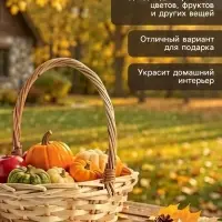Корзина плетёная для хранения, 25&times;25&times;18 см, ручка h=8 см, лоза, натуральная