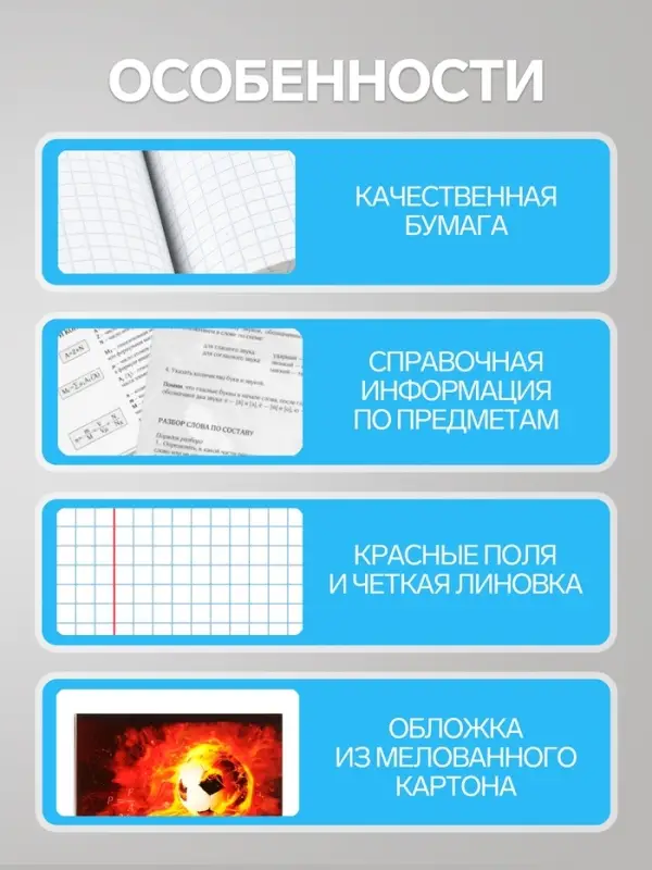 Набор предметных тетрадей Calligrata &laquo;Футбол&raquo;, 10 предметов, 48 листов, со справочным материалом, обложка из мелованного картона, блок офсет