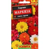 Набор Семена цветов Георгины махровая низкорослая (238760048) ВБ