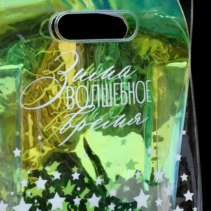 Пакет из голографического пластика «Зима волшебное время», 18 х 24 х 6,5 см Пакет из голографического пластика «Зима волшебное время», 18 х 24 х 6,5 см