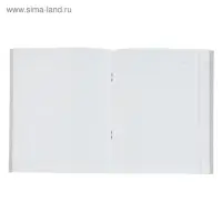 Тетрадь 48 листов в линейку Calligrata «Узоры», обложка мелованный картон, блок офсет, МИКС