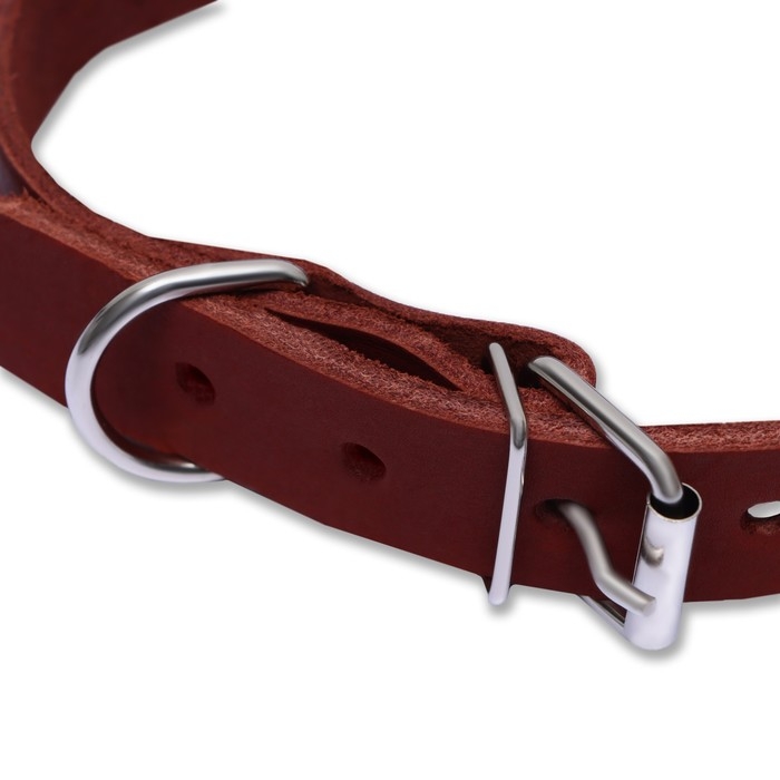 Ошейник кожаный однослойный, 54 х 2,5 см, ОШ 35-45 см, коричневый Ошейник кожаный однослойный, 54 х 2,5 см, ОШ 35-45 см, коричневый