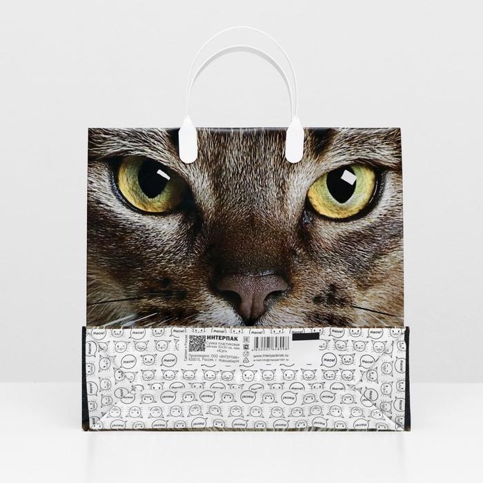 Пакет Пакет "Кэт", мягкий пластик, 30 х 30 см, 150 мкм