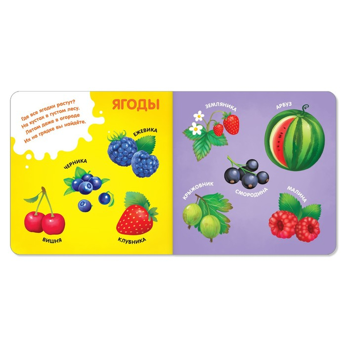 Книги картонные набор «Знакомимся с окружающим миром», 4 шт. по 10 стр. Книги картонные набор «Знакомимся с окружающим миром», 4 шт. по 10 стр.