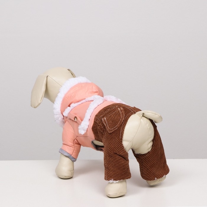 Комбинезон Комбинезон "Малыш", размер 12 (ДС 28 см, ОГ 38 см, ОШ 27 см), бежево-коричневый