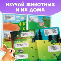 Набор книг с наклейками-загадками, 2 шт., 60 наклеек, 3+