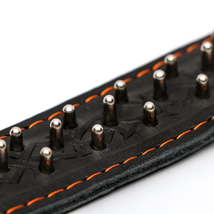 Ошейник кожаный двухслойный клёпаный Ошейник кожаный двухслойный клёпаный "Ёж", 65 х 3,5 см, ОШ 50-60 см, чёрный