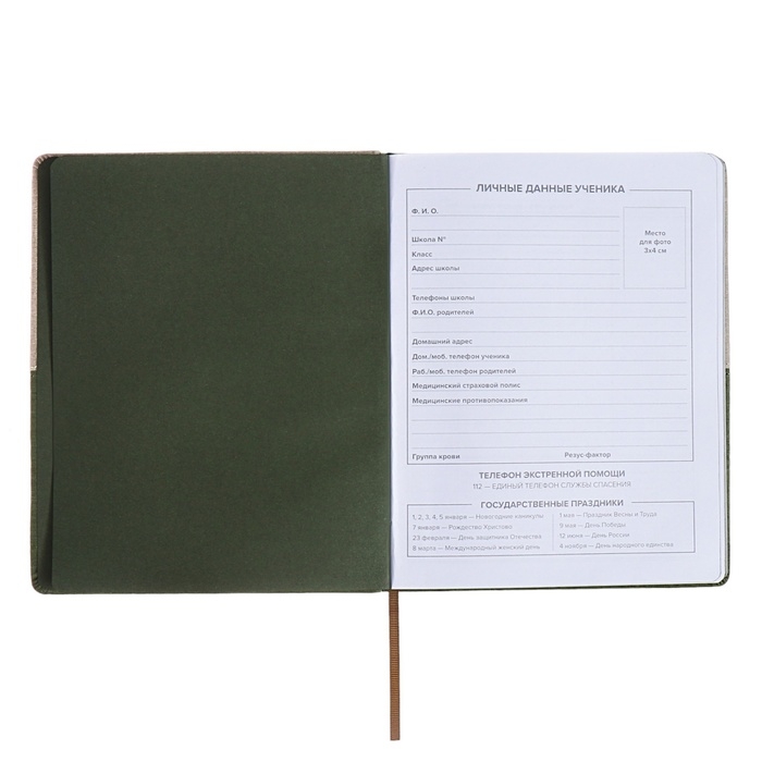 Дневник школьный для 1-11 классов, 50/50 %, твёрдая обложка с поролоном, искусственная кожа, шелкография, ляссе, универсальная шпаргалка, 48 листов, блок 80г/м2 Дневник школьный для 1-11 классов, 50/50 %, твёрдая обложка с поролоном, искусственная кожа, шелкография, ляссе, универсальная шпаргалка, 48 листов, блок 80г/м2