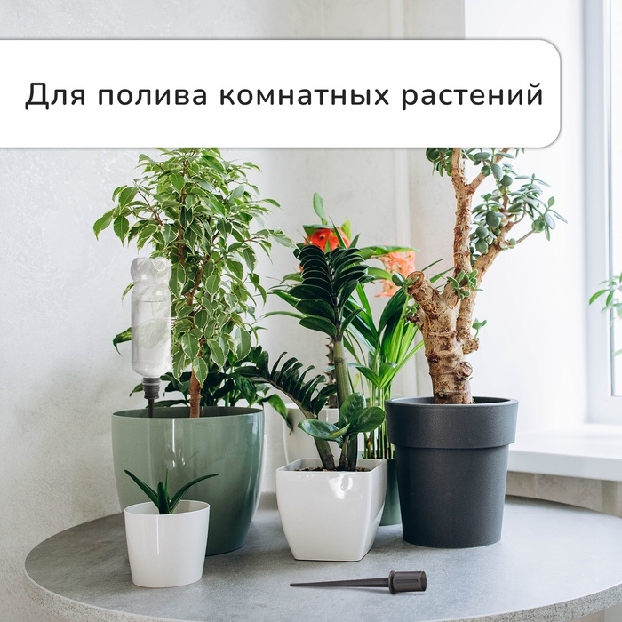 Автополив для комнатных растений под бутылку, регулируемый, серый, из пластика, высота 16 см, 4 шт. Автополив для комнатных растений под бутылку, регулируемый, серый, из пластика, высота 16 см, 4 шт.