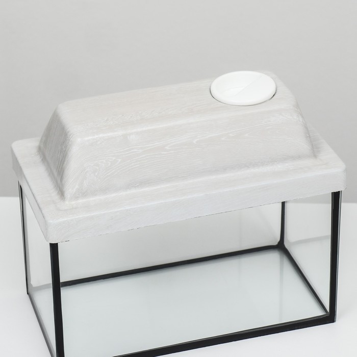 Аквариум Аквариум "Прямоугольный" с крышкой, 5 литров, 25 x 13 x 15,5/18 см, беленый дуб