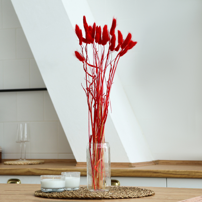 Сухоцветы «Лагурус», набор 30 шт., цвет красный Сухоцветы «Лагурус», набор 30 шт., цвет красный