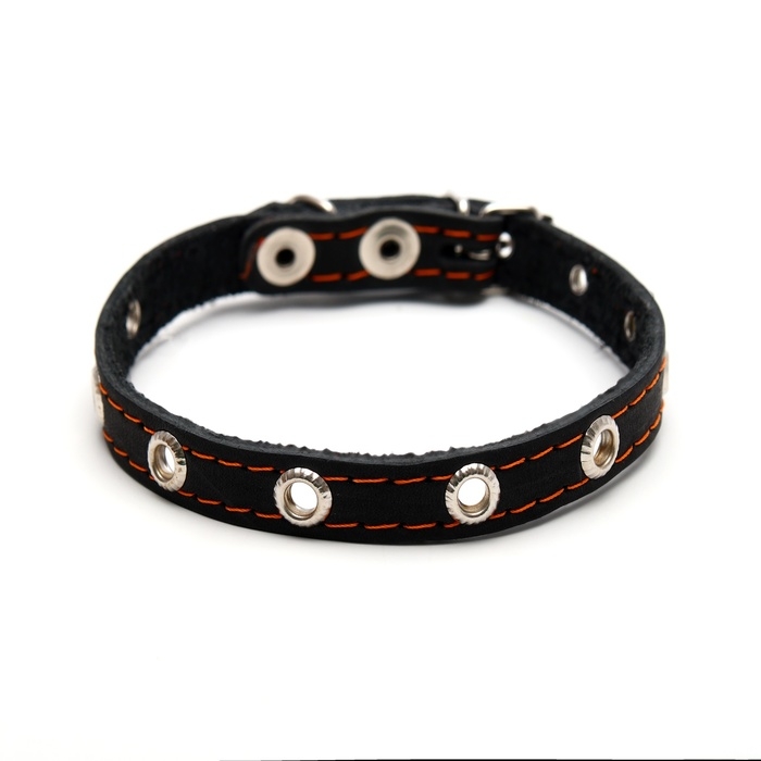 Ошейник кожаный однослойный с рифлеными люверсами, 35х1,2 см, ОШ 10-28 см, безразмерный, микс цветов Ошейник кожаный однослойный с рифлеными люверсами, 35х1,2 см, ОШ 10-28 см, безразмерный, микс цветов