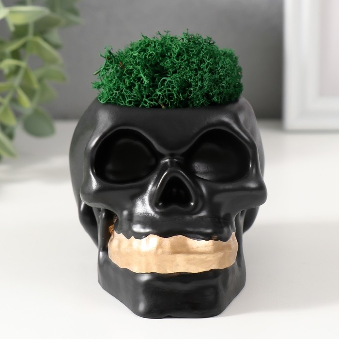 Кашпо бетонное  Кашпо бетонное "Череп Money "со мхом 7х11 см черный с золотыми зубами (мох зеленый стабил)