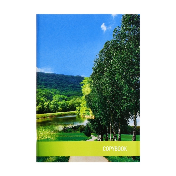 Тетрадь А4, 96 листов в клетку Тетрадь А4, 96 листов в клетку "Природа", обложка мелованный картон, блок №2, белизна 75%, (серые листы)