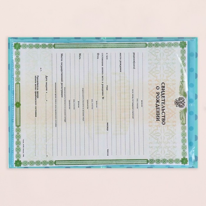 Папка под свидетельство о рождении  Папка под свидетельство о рождении "Мишка" синий фон, А5