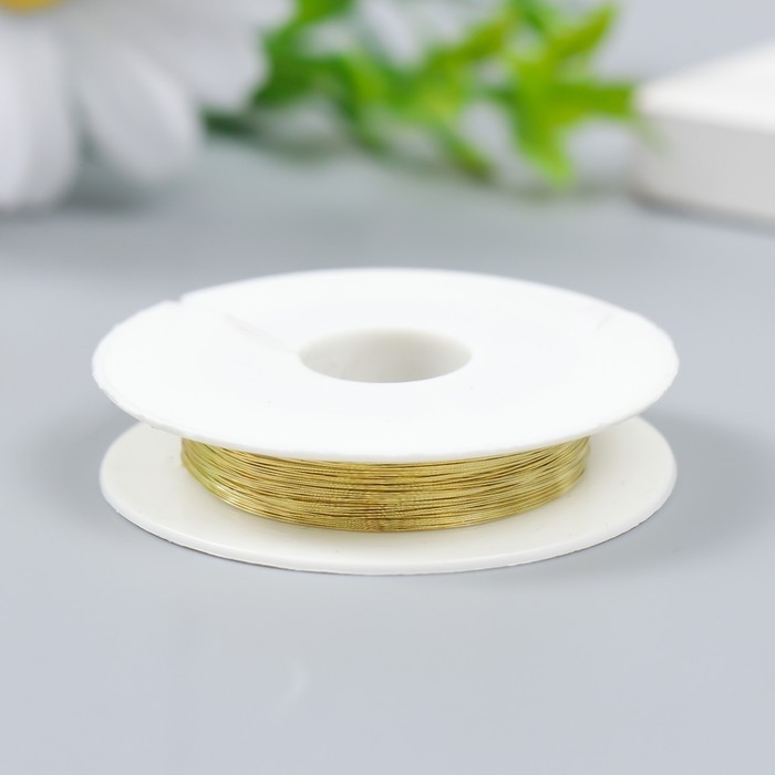 Проволока для творчества  Проволока для творчества "Astra" 0,2 мм, 10 м, золото