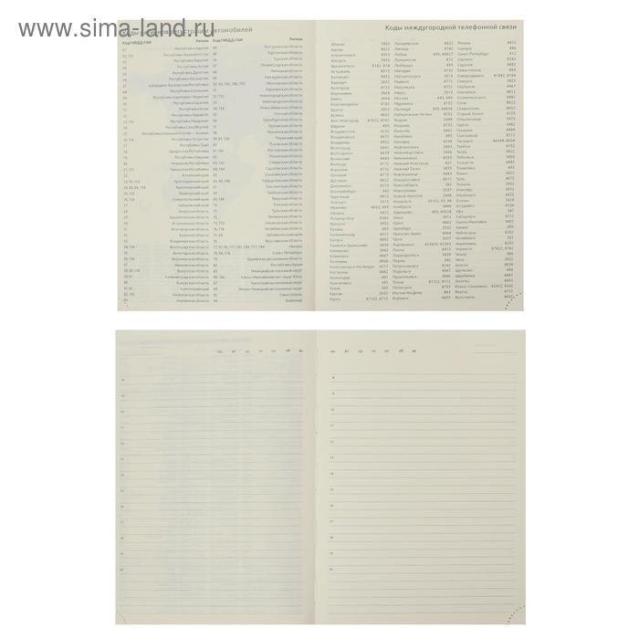 Ежедневник недатированный А5 160 листов, deVENTE. Wild, твердая обложка кожзам с поролоном, термо тиснение, перфорация, ляссе, кремовый блок 70 г/м2, коричневый