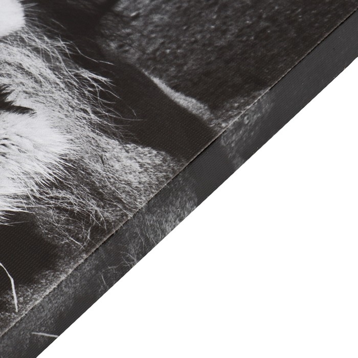 Картина-холст на подрамнике Картина-холст на подрамнике "Львиная семья" 50х70 см