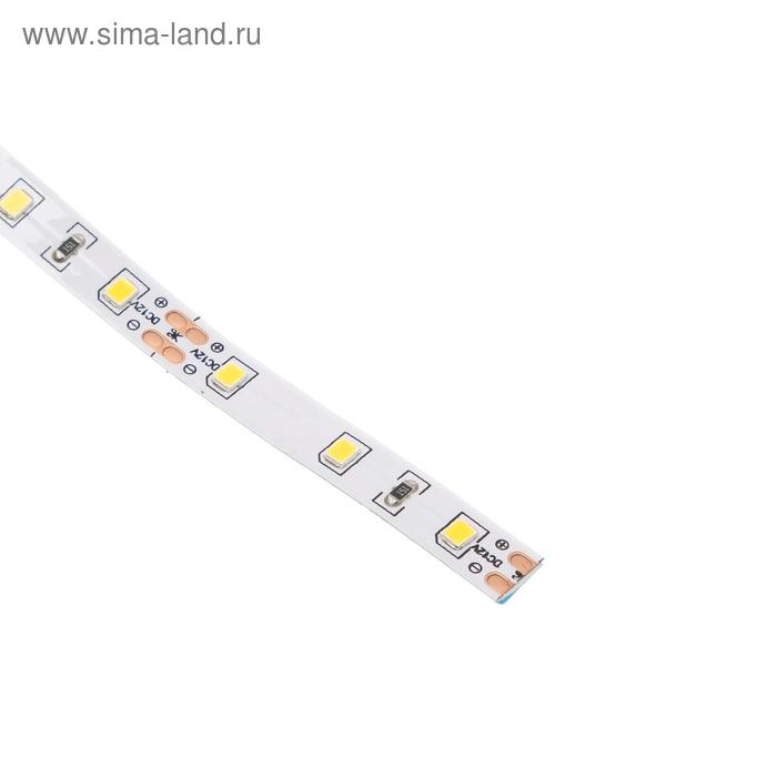 Светодиодная лента Ecola PRO 5 м, IP20, SMD5060, 60 LED/м, 11 Вт/м, 12 В, 2800К Светодиодная лента Ecola PRO 5 м, IP20, SMD5060, 60 LED/м, 11 Вт/м, 12 В, 2800К