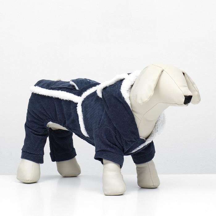 Комбинезон Комбинезон "Малыш", размер XS (ДС 20 см, ОГ 30 см, ОШ 20 см), синий