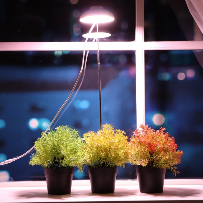 Фитосветильник светодиодный ЭРА, 12 Вт, IP20, 110х110х215 мм, штыковой, полный спектр Фитосветильник светодиодный ЭРА, 12 Вт, IP20, 110х110х215 мм, штыковой, полный спектр