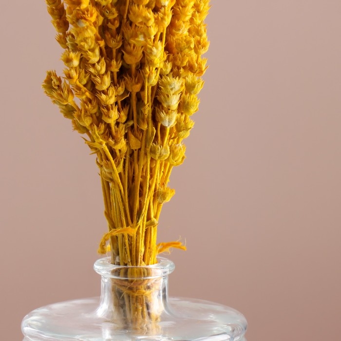 Набор сухоцветов Набор сухоцветов "Железница", банч длина 35 (+/- 6 см), желтый