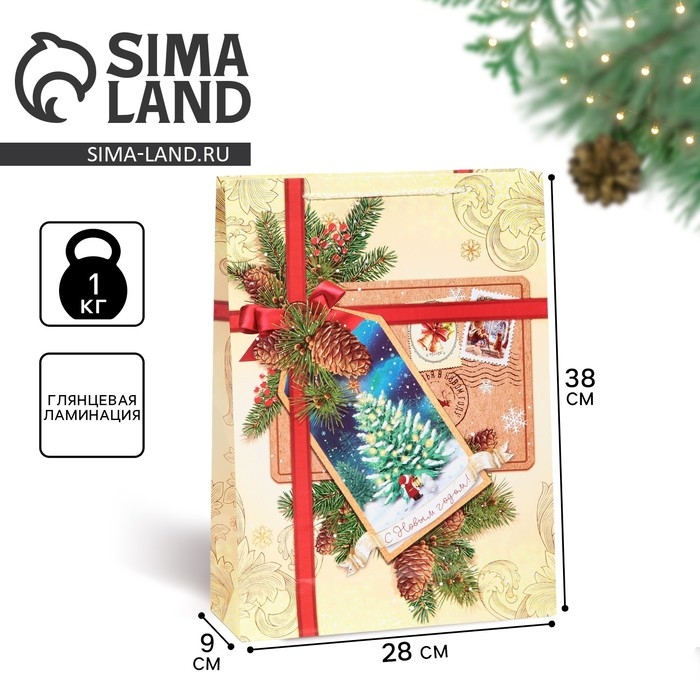 Пакет подарочный новогодний ламинированный «С Новым годом!», L 28 х 38 х 9 см Пакет подарочный новогодний ламинированный «С Новым годом!», L 28 х 38 х 9 см